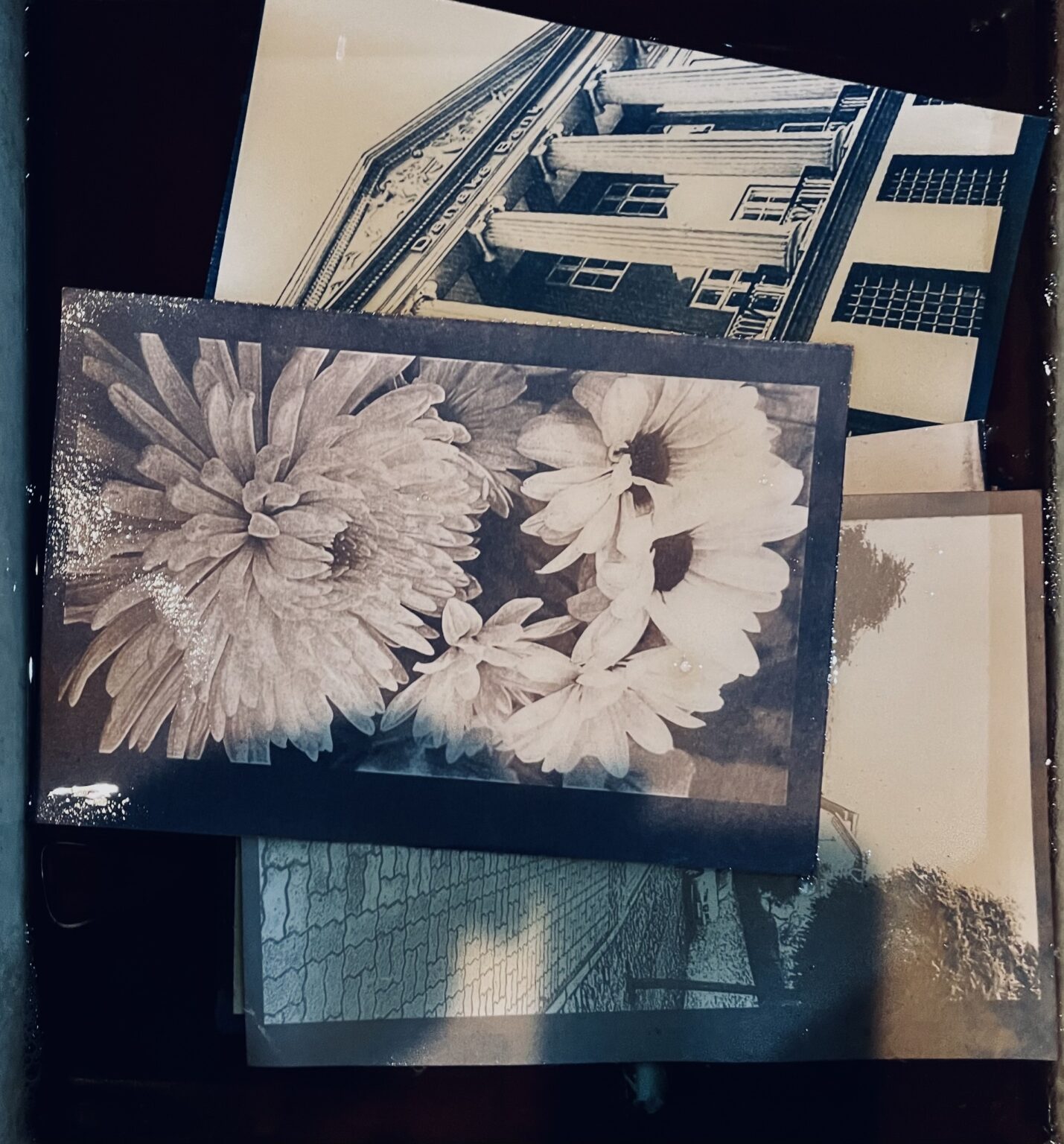 fotograficzne prace studenckie